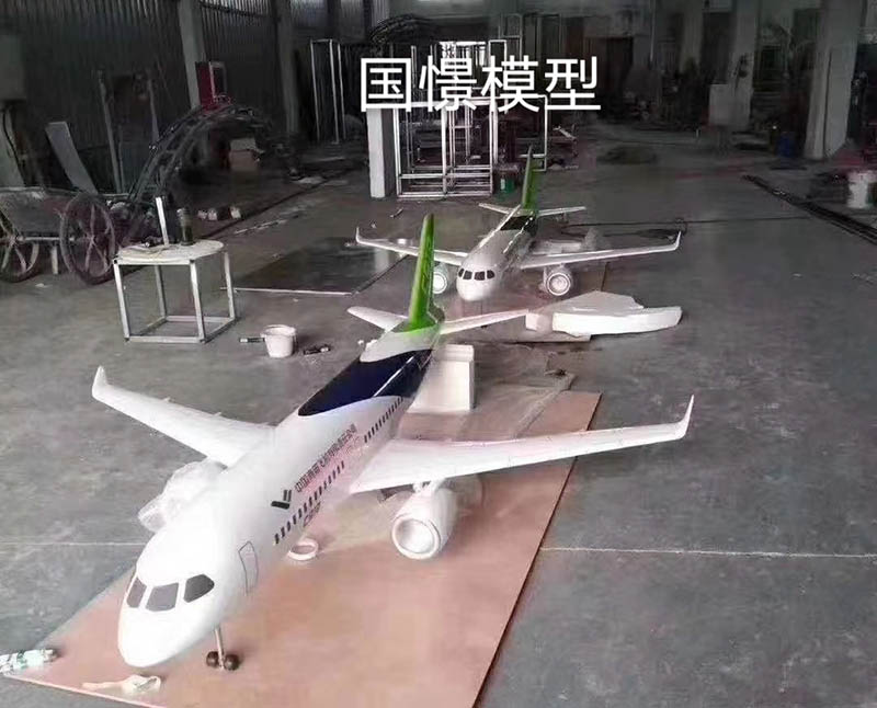 萨嘎县飞机模型